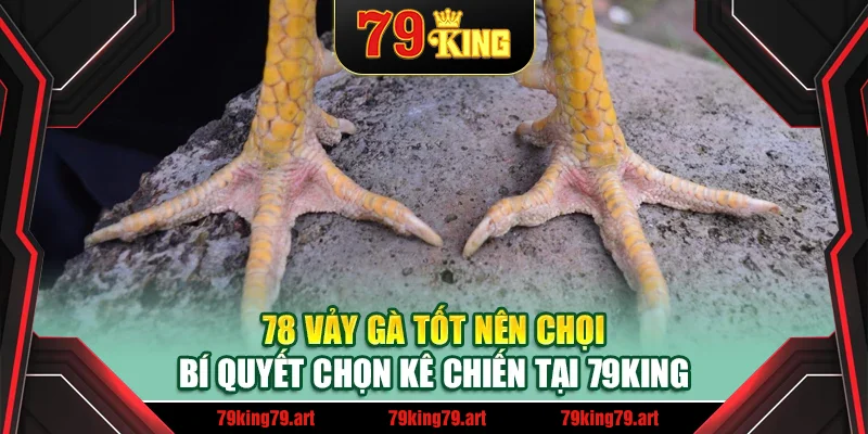 78 Vảy Gà Tốt Nên Chọi – Bí Quyết Chọn Kê Chiến Tại 79King