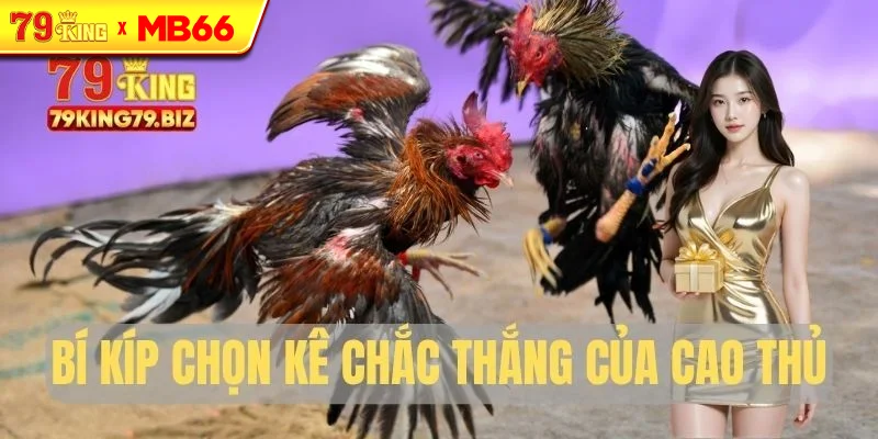 Bí kíp chọn kê chắc thắng của cao thủ