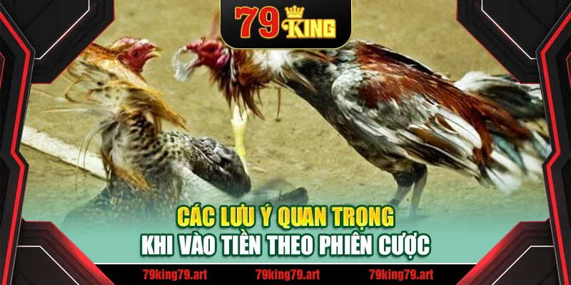 Các lưu ý quan trọng khi vào tiền theo phiên cược Các lưu ý quan trọng khi vào tiền theo phiên cược