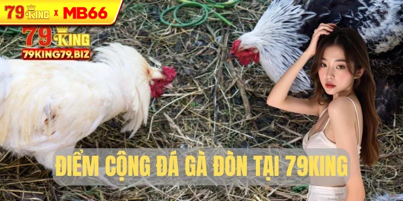 Điểm cộng lớn của đá gà đòn 