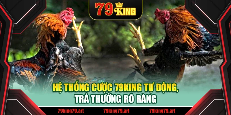 Hệ thống cược 79King tự động, trả thưởng rõ ràng