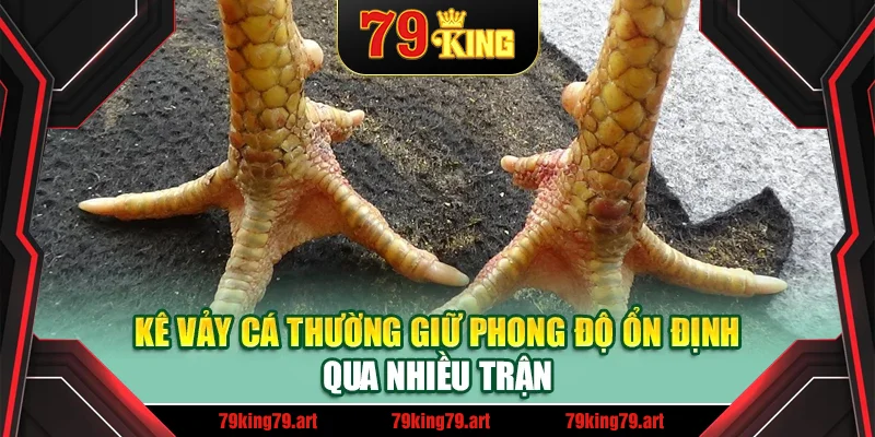 Kê vảy cá thường giữ phong độ ổn định qua nhiều trận