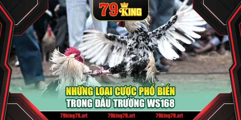 Những loại cược phổ biến trong đấu trường WS168 Những loại cược phổ biến trong đấu trường WS168