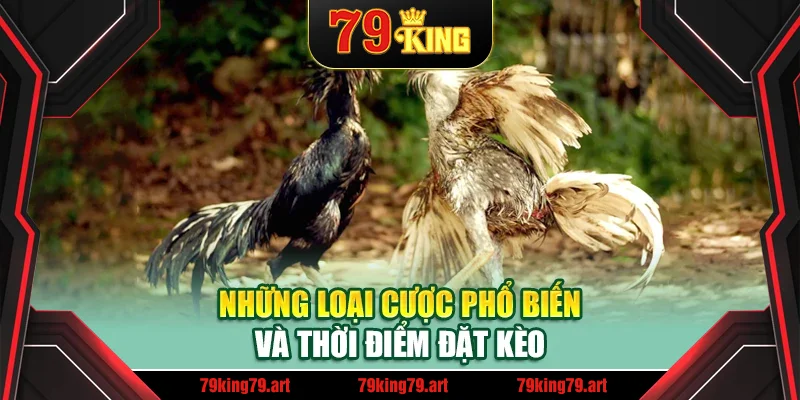 Những loại cược phổ biến và thời điểm đặt kèo