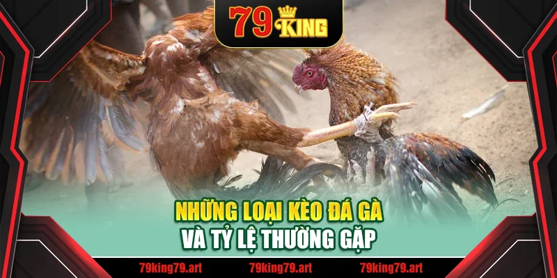 Những loại kèo đá gà và tỷ lệ thường gặp