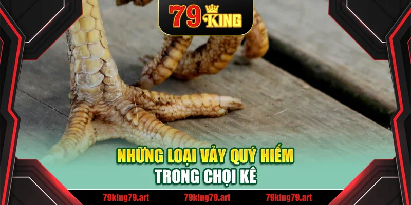 Những loại vảy quý hiếm trong chọi kê