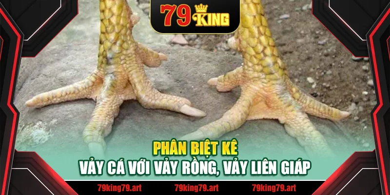 Phân biệt kê vảy cá với vảy rồng, vảy liên giáp