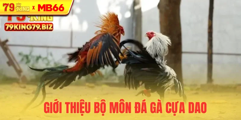 Khám phá bộ môn đá gà cựa dao hấp dẫn