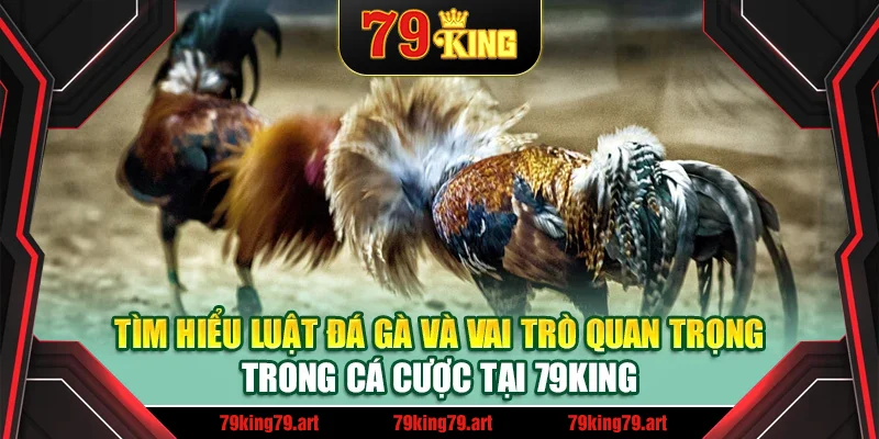 Tìm hiểu luật đá gà và vai trò quan trọng trong cá cược tại 79King