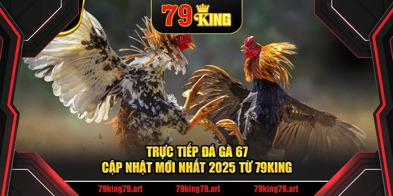 Trực Tiếp Đá Gà 67 – Cập Nhật Mới Nhất 2025 Từ 79KING